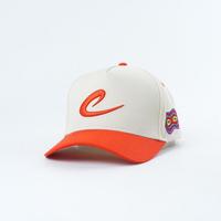 Op maat gemaakt logo 3D puff borduurwerk gestructureerd frame contrastkleur tweekleurig verstelbare snapback Oxford Argyle fruit outdoor sport