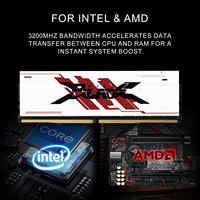 PUSKILL RGB DDR4 8GB/16GB/32GB 3200MHz/3600MHz Gaming Desktop Memory RAM