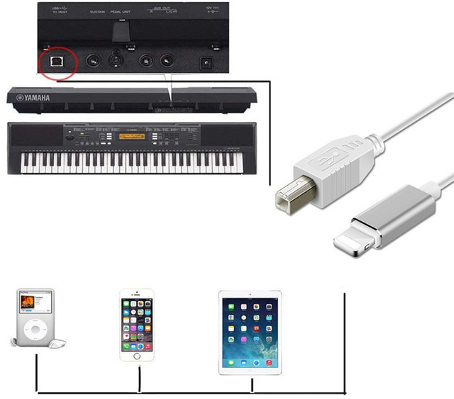 For iPhone USB B Adapter Male to Male MIDI OTG Cable to Musical Instrument Digital Piano USB Camera Audio for iPad