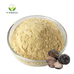 Harga grosir 30% polysacchardes murni alami organik Perigord Truffle hitam ekstrak Powder