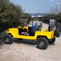 Véhicule utilitaire, nouveaux buggys, karts agricoles, transport spécial, mini-jeeps tout-terrain, mini-jeeps à quatre roues et jeeps personnalisables