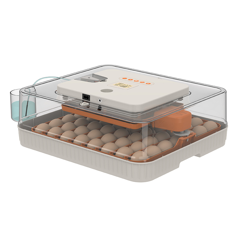 WONEGG New Design TW 144 Automatic