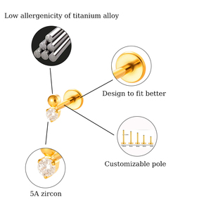 HENGSEN titane dos plat boucle d'oreille Zircon Piercing bijoux Dragon serpent Cartilage titane hélice oreille Piercing pour <span class=keywords><strong>les</strong></span> femmes - Product Image 2
