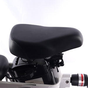 الأكثر مبيعًا دراجة كهربائية قابلة للطي بجهد 48 فولت مع طراز صغير بقوة محرك W - Product Image 3