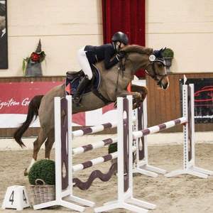 Kit Profissional de Obstáculos para Salto Equestre com Estruturas Resistentes e Trilhos Brilhantes para Clubes e Arenas Equestres - Product Image 1