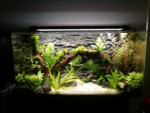 ไฟ LED ติดตู้ปลา,ไฟ LED เต็มสเปกตรัม24ชั่วโมง RGB อัจฉริยะพร้อมตัวยึดไฟตู้ปลาแบบปรับได้ - Product Image 6