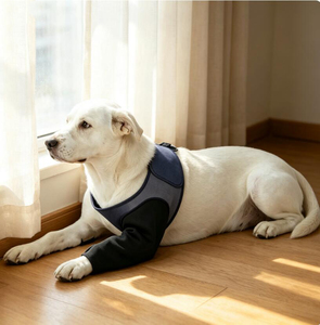 Adjustable <b>Dog</b> Leg Brace Anti-Lick Recovery Sleeves Cone for Front Legs Neoprene <b>Dog</b> Knee Brace Pet Compression Support Wraps - Product Image 2