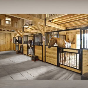 Cadre en acier galvanisé permanent personnalisé de 10 pieds Vente d'écuries de luxe Décalage préfabriqué pour chevaux et kits de grange pour chevaux - Product Image 2