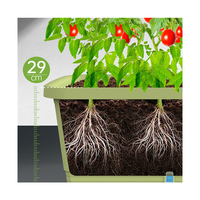 Pots de plantes en plastique auto-arrosants écologiques en forme de rectangle pour jardinière d'herbes et de légumes de jardin pour balcon à la maison