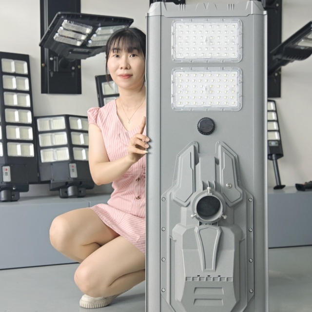 Super Bright Solar LED All-in-One Street Light Aluminum Body SMD Chip DC for Outdoor Courtyard Road Villa Street Engineering