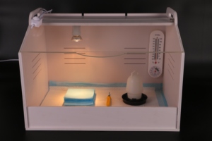 Hộp Ấp Trứng Gà Máy Ấp Trứng Chim Cút Máy Sưởi Lồng Đèn Lồng Ấp Trứng Gà Con - Product Image 3