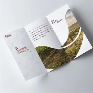 Factory wholesale Professional Factory Custom Leaflet Printing Offset Printing Foil Flyers Design Booklet And Print Brochure