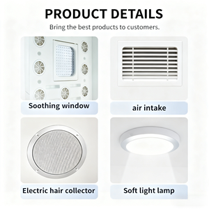 Sèche-cheveux professionnel silencieux pour animaux de compagnie, grande capacité de 200 L, écologique, ABS, 4 vitesses, machine de séchage des poils intelligente pour le toilettage, salle de bain, <span class=keywords><strong>salon</strong></span> - Product Image 3