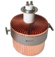 Amplificateur de puissance haute fréquence 15 kW fabriqué en Chine, tube électronique à vide 8T85RB, tube de puissance en céramique métallique, tube d'oscillation