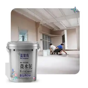 Free Sample Customized Water Borne Exterior Wall Texture Paint Sealant Outdoor Trowel Concrete Kit Floor Wall Paint Microcement