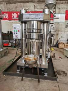 Prensa Hidráulica de Alto Rendimiento y Larga Vida Útil para el Tratamiento de Aceites Industriales - Product Image 4