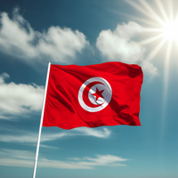 Drapeau de la Tunisie Offre Spéciale de taille personnalisée en gros bannière nationale la moins chère drapeaux en polyester 100% de haute qualité