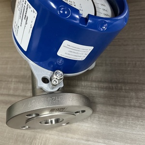 H250RRM40 เครื่องวัดการไหลแบบลอยตัว 4-20mA ตัวเลือก HART - Product Image 2