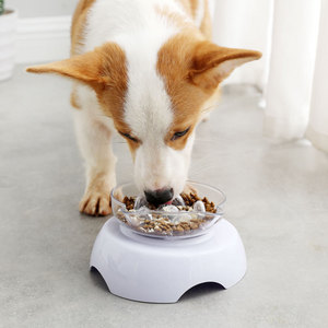 Plastic Luxury Elevated Slow <b>Feeder</b> Transparent Double <b>Cat</b> Bowl Dog <b>Feeder</b> - Product Image 5