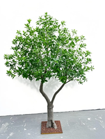 Mini olivier en pot en gros, véritable olivier nain pour jardin, patio, centre de table de mariage, bonsaï, arbre artificiel