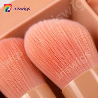 Pinceaux de maquillage professionnels personnalisés pour le visage, ensemble de 5 pinceaux synthétiques pour les lèvres et les yeux, poignée en plastique, sac de voyage, échantillon gratuit
