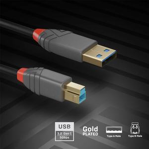 Câble USB 0,5 m USB 3.2 Gen 1 (3.1 Gen 1) avec connecteurs USB A et USB B en noir. - Product Image 2