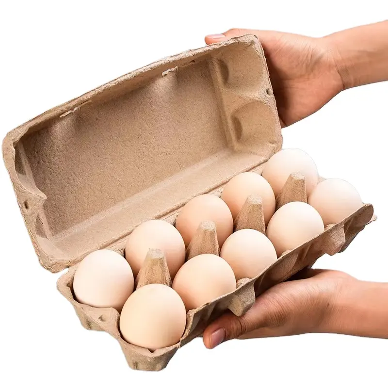 biodegradable recycled paper Environmental disposable chicken egg carton 10 pack 12 Pack 18 pack Paper Pulp Egg Tray