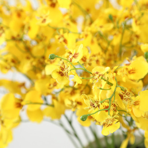 Oncidium yapay çiçekler dans bayan orkide ev düğün dekorasyon için ipek sarı kaynaklanıyor