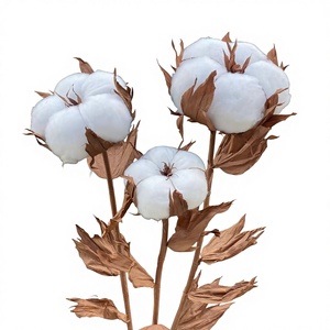 Grandi <span class=keywords><strong>Fiori</strong></span> <span class=keywords><strong>di</strong></span> Peonia Tridimensionali Intrecciati a Mano per Matrimoni, Decorazioni per Vetrine, Oggetti <span class=keywords><strong>di</strong></span> Scena per Fotografia, <span class=keywords><strong>Fiori</strong></span> in Carta Artistica - Product Image 1