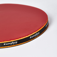 Raquette de tennis de table professionnelle en gros 2 étoiles - Haute performance, caoutchouc approuvé, fabriquée en bois et caoutchouc