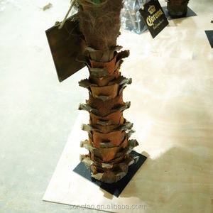 Simulation de phénix artificiel, palmier décoratif, plante pour l'extérieur, Design d'ingénierie de grande taille - Product Image 6