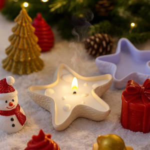 DIY Shell Plateau Assiette De Fruits Étoile De Mer Aromathérapie Gypse Moule En Silicone - Product Image 2