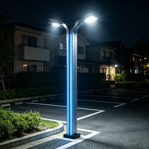 ถนนในสวนตกแต่งด้วยเสาไฟถนนอลูมิเนียมอัลลอยด์ทรงสูง พร้อมหลอดไฟ LED เกรด IP65 - Product Image 1