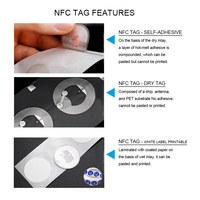 Muestra Gratuita de Etiqueta RFID NFC213 Mini Regrabable de 25 mm, Resistente al Agua y a la Intemperie, de 13.56 MHz, para Control de Acceso y Gestión de Activos