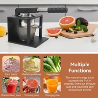 Presse-agrumes manuel portable écologique en métal pour fruits et légumes, presse-citron et lime, vente chaude