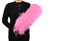 35-40cm Plumes d'autruche panache naturel rouge pour fête carnaval maison mariage pièce maîtresse noël Vase vacances décor bricolage artisanat Floral