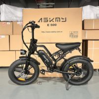 Vélo Électrique en Promotion 750W 48V 15AH Batterie Ebike Pneus Larges VTT Tout-Terrain Moto Électrique pour Adulte