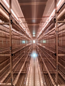 Personalización de fábrica, granja de contenedores de cultivo de hongos de 20 pies para ostras, Shiitake, botón - Product Image 6