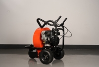 7HP essence essence souffleur de feuilles vitesse rapide à faible bruit pour usage domestique fermes hôtels vente au détail puissance outil de jardin moteur fiable