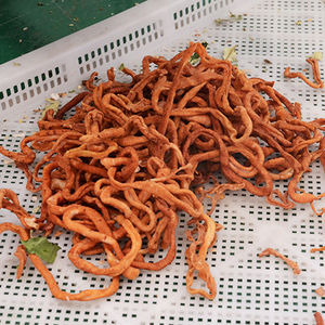 Advanced Mesh Belt Dryer Food Drying <b>Machine</b> Chicken Intestines Cleaning and Drying Line Chicken Intestines <b>Dehydration</b> <b>Machine</b> - Product Image 3