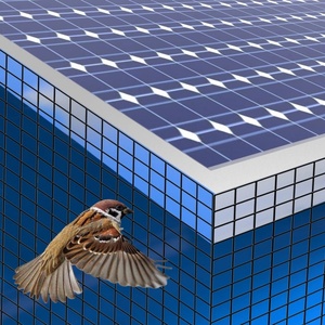 8 ''X 100ft 1.3 mét PVC tráng Hàn lưới chim bằng chứng <span class=keywords><strong>Net</strong></span> cho mái nhà năng lượng mặt trời ul được liệt kê năng lượng mặt trời chim lưới RoHS compliant Bird lưới - Product Image 6