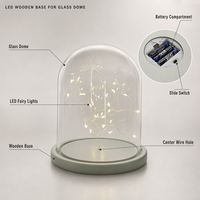 Wholesale Grey Base LED Glass Bell Jar Cover Wooden Stand for Preserved Flower Home Tabletop Decoration