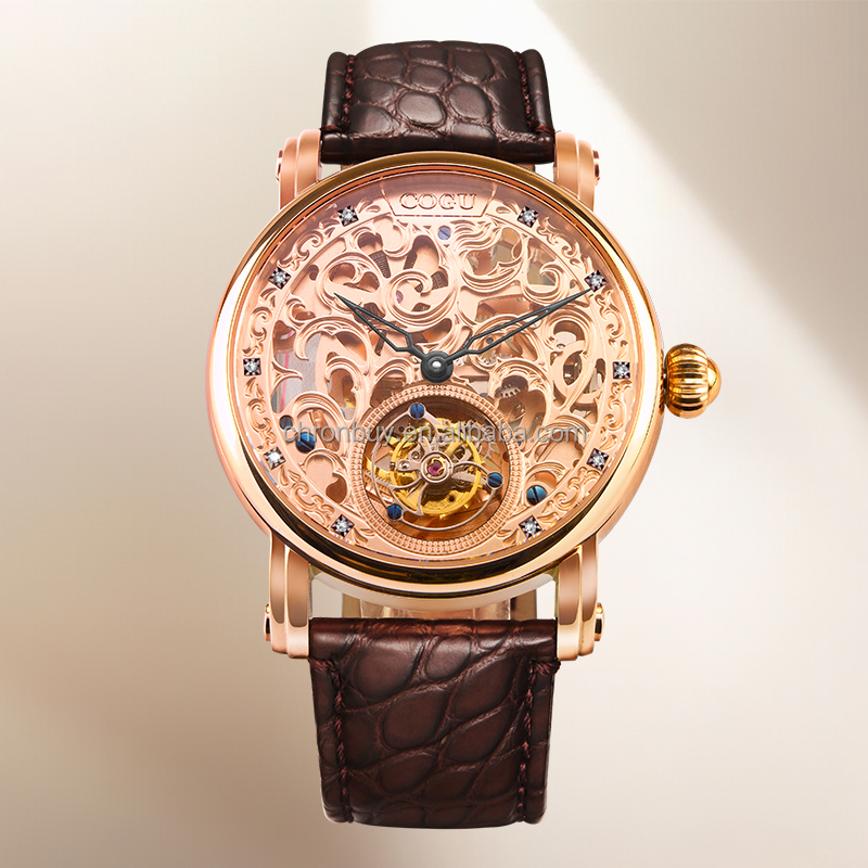 rolex watch eye of the tiger