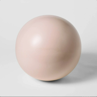 Ballon de yoga mini en PVC de 25 cm pour adultes, Pilates et soutien pendant la grossesse, ballon d'exercice doux pour massage