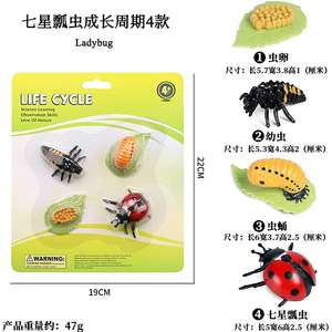 Yxs niños Montessori enseñanza SIDA simulación vida silvestre modelo Gallo tortuga ciclo <span class=keywords><strong>de</strong></span> crecimiento Juguetes - Product Image 4