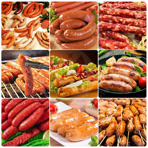 Línea de proceso de salchicha industrial ORME, llenadora hidráulica de salchichas, la máquina de fabricación de chorizo más barata a la venta - Product Image 6