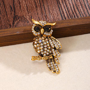 Luxe <span class=keywords><strong>dessin</strong></span> <span class=keywords><strong>animé</strong></span> Vintage alliage bijoux extravagant cristal Brid broches hibou broche broche incrusté <span class=keywords><strong>de</strong></span> diamants pour hommes accessoires - Product Image 5