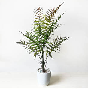Paquete de mango grande único Planta de simulación Hoja de helecho <span class=keywords><strong>Ricitos</strong></span> de oro artificiales Planta de goma blanda de helecho - Product Image 6
