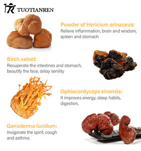 Marque privée Vente de gros Mélange instantané de champignons et de café <span class=keywords><strong>Ganoderma</strong></span> Lucidum Reishi Ingrédients de qualité supérieure - Product Image 4