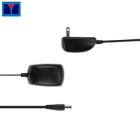Certifié 16.8V 0.5A AC DC routeur caméra de sécurité adaptateurs d'alimentation avec connecteur 5.5*2.1